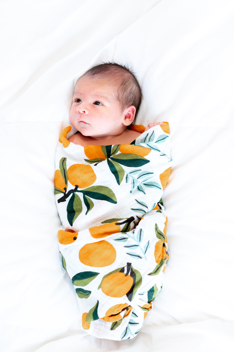 Swaddled newborn baby portrait